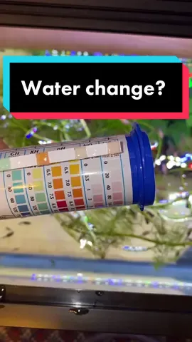 It doesn’t matter how good your parameters are on a goldfish baby tank, that hormone will be present, remove it for the best growth! #goldfish #fish