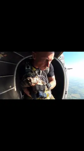 Different clips from Odins second skydive #bullylife #americanbully #bullyadventures #bullystuff #bullypups #bullypuppy #stunningbullies #odinanddad