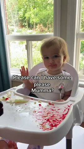Take everything. #19months #toddler #kids #children #baby #cute #cutie #eat #food #adorable #funny #hilarious #Love #motherhood #family