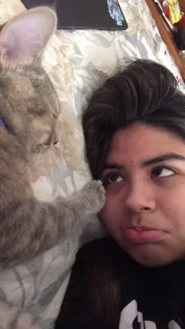 just me and bestie #foryoupage #fyp #4you #4you #catsoftiktok
