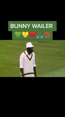#bunnywailer #welovemusic #musicformusica #fyp #onelove #rootsreggae #reggae