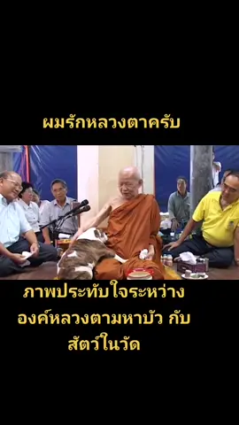 ลงคลิปเอาใจคนรักน้องหมาอีก1คลิปครับ🙏🙏🙏🥰💖💗