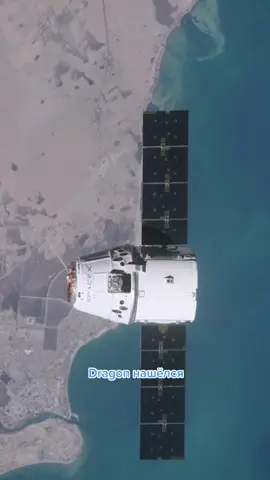 #SpaceXDragon подлетает к #МКС #космос #space #iss #космонавт #BlueDot #Земля #ОлегАртемьев #океан