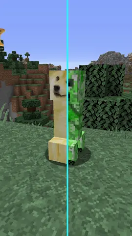 Meme minecraft🔥/Resource pack in bio#Minecraft#майнкрафт#memes