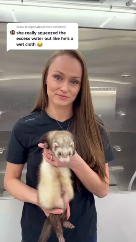 Reply to @bigphatpoochie  This is strictly for laughs. #jk #haha #ferret #noferretswereharmed