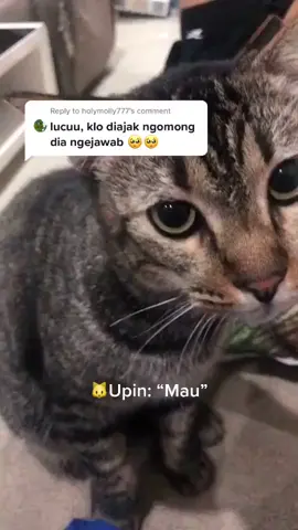 #stitch dengan @𝐌𝐞𝐫𝐢𝐞𝐥 𝐂𝐢𝐧𝐝𝐲 Bisanya cuma melawan 🥲