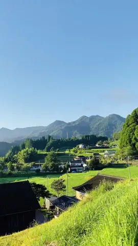 This is my favorite morning view ! 2020.8.16 🕡am 📍Miyazaki,Japan #田舎の雰囲気 #宮崎 #teamrt001 #thisisjapan