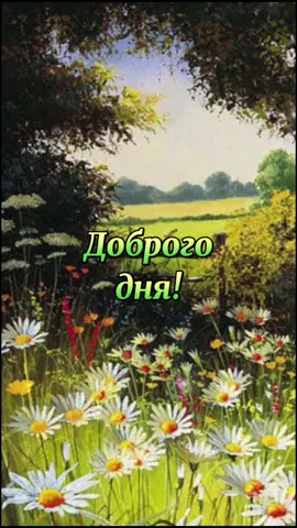 #доброгоднявам #доброгоднядрузья #пожеланиедоброгодня