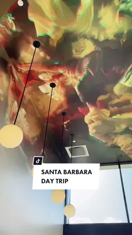 went on a day trip to SB #dailyvlog #santabarbara #roadtrippin #californiadreaming