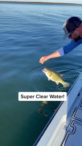 Catch and release🔥 #6thsense #6thsensefishing #fishing #Outdoors