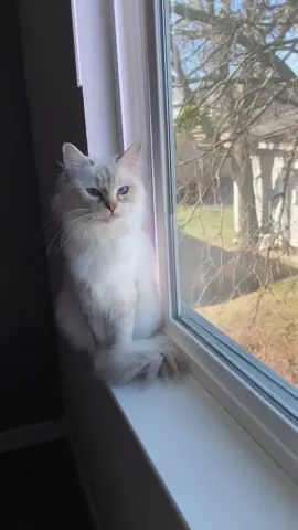 Summer is a pro at bird watching