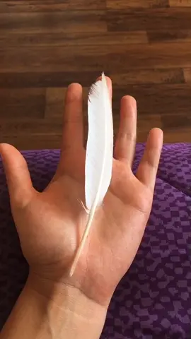 Si estiro bien el dedo calza perfecto con mi mano uwu tal vez solo fue coincidencia 🤷🏻‍♀️