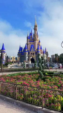 would being 22 qualify me as a disney adult..? anyways i #stan #disneyworld #florida
