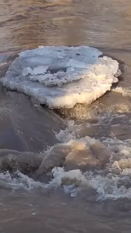 I just missed the ice flow, but this is what got stuck. Some ice got stuck a but farther down #spring #creeklife #nature #creek #naturelover #winter