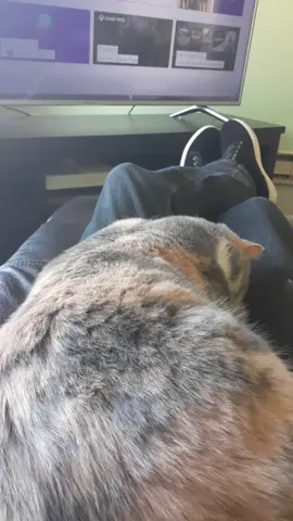 #nap