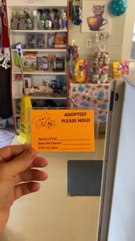 Miya is on hold! #fyp #foryou #dogvideo #foryourpage #adoption #dog #dogvideo #gotchaday