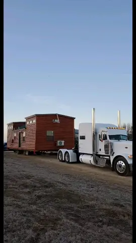 #oversize #peterbilt379 #moneyload #tinyhome #fyp #cabindeliver #fyp #foryou