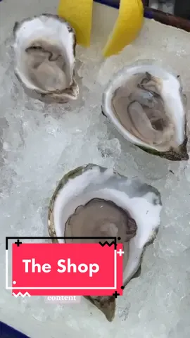 Excited for warmer days! Who’s with me? ☀️ #portlandmaine #oysters #halfshell #shellphone #AirPodsJUMP #207 #southernmaine