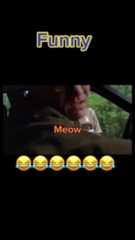 Super Troopers released 2001😎#movie#movieclips#funny#funnyvideos#meow#cat#cops