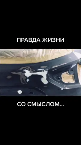 #правдажизни #сосмыслом #carpainter #грунтовкаавто