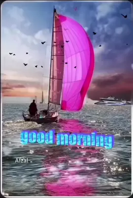 #GoodMorning