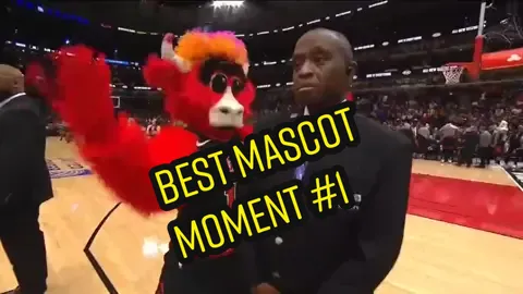 Best Mascot Moment Part 1 #Funny #Sports #Fyp #Parati #mascotas