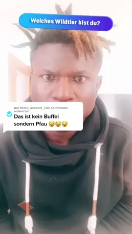 @tiktok_account_1.0 antworten#TikTokWildlifeDay warum diese hier nicht lowa 🦁🦁❤