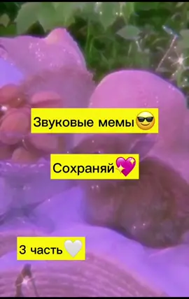 2-ая часть ОЧЕЕНЬ ЗАЛЕТЕЛА, СПАСИБО ВАМ💖❤️🥺 Надеюсь чтобы эта тоже залетела🥺💖💖#BOSSUpYourGame #РЕКОМЕНДАЦИИ2021 #хочуврек #Рек #Популярныепжпжп