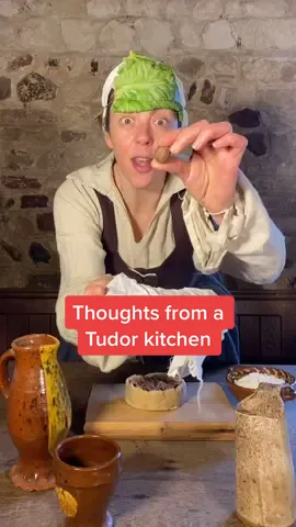 Thoughts from a Tudor kitchen #LearnOnTikTok #EHOriginals
