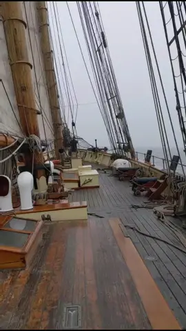running in the fog. #sailing #thisisbliss #allwoodallgood #worklife