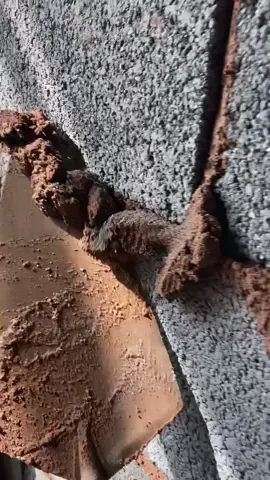 #bricktok #bricklaying #tradie #satisfying #asmrsounds #fyp #foryoupage #asmr #fypsounds #viral_video