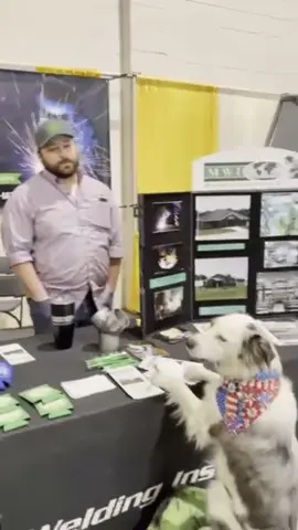 Had a great time up at the Spring Roundup in Springfield, Mo, at the Ozark Empire Fairgrounds.