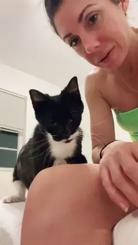 PART ONE of Missy’s birth!!! Was very exciting! Everyone is alive with a little help from me. #FindYourCore #homebirth #birth #birthday #rescue  #cats