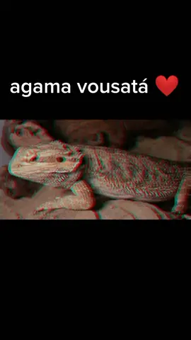 #agamavousata #foryou #foryoupage