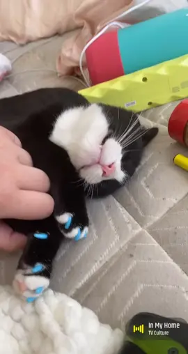 @huffleandpuff  just a yawn