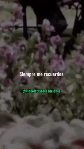 #frankreyes #noteolvidesdemi #videoletradecanciones #bachata #soydominicano