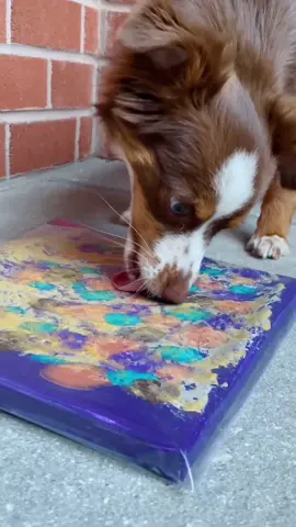 Call me paw-casso 🎨 #dogpainting   #dogsoftiktok #puppy #dogpaintingchallenge