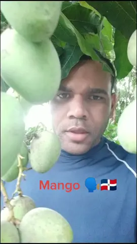 #paratii #viral #fyp #famoso #mango #yosoycreador #campo #jajaja #españa #pr #duo #republicadominicana #instagram #tiktokindia #music #vida #campo #17