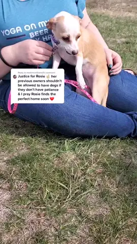 Reply to @madimcwilliams3 #foryoupage #fyp #featureme #FindYourCore #FreeFreeDance #adopted #dogsoftiktok #tiktokdogs #shelterlife #healing