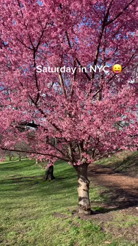 A little #dailyvlog