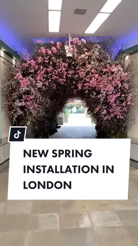 ATTENTION LONDON CREATIVES 🚨📸 #London #londonuk #visitlondon #wanderlust #springinlondon #londonphotographer #londonphotoshoot #londonblogger