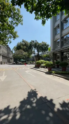Let me have you a mini tour to your dream school 😍🥰 #fyp #foryoupage #ust #thomasian