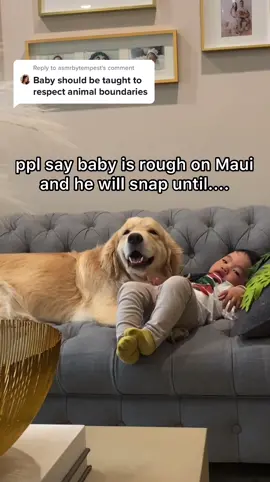 Reply to @asmrbytempest they are truly best friends and enjoy each other’s company 🥺 every dog is different #fyp #foryou #babyanddog #dogsoftiktok