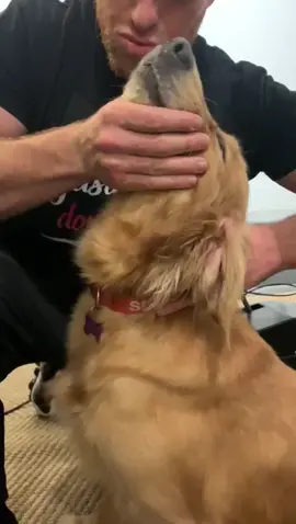 Adjustments don’t lie👊🏼 #fyp #viral #chiropractor #puppiesoftiktok #adjustment #happyeaster #sheesh #doctorsoftiktok