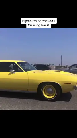 #fyp #PlymouthBarracuda #foryou #foryourpage #you