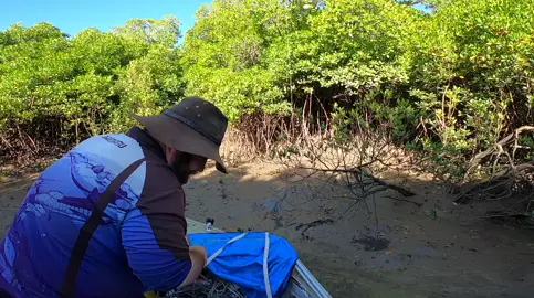 #mudcrabbing #mudcrabs #mudcrab #mudcrabbingaustralia #NorthernTerritory #northernterritorylife #fortheboys #seafood #fishingaustralia #youtuber #NT