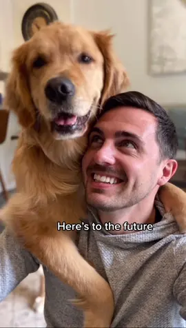 Our story #goldenretrieverlife #dog #ourstorychallenge