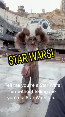 Easy Chewie.... @disneyparks