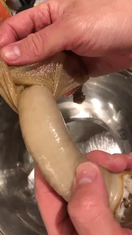 Geoduck skin removal 👽 #asmr #satisfying #oddlysatisfying #geoduck #geoduckclam #weird #cool #funny #tiktokfood #tiktokcooks