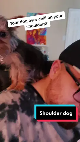 Weird Parrot Dog.. lol #parrot #dog #JustAddBriskZero #DSWCutLoose